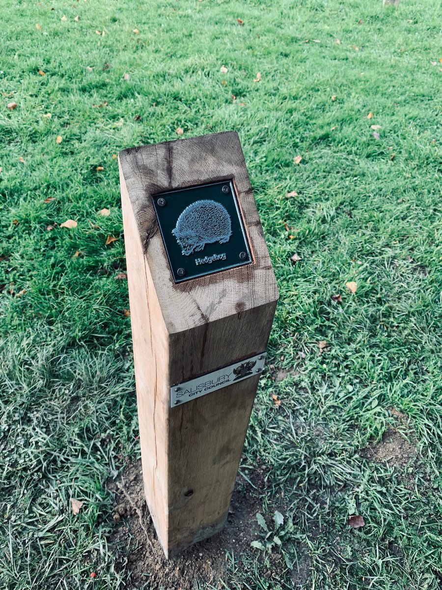 SalisburyCC's tweet photo. Our Communities Team have created a brand new Discovery Nature Trail for people to explore the beautiful green spaces and wildlife in our city 🌳 Click here for details 👉 https://t.co/se7du48I1l https://t.co/3VttFgzrlD