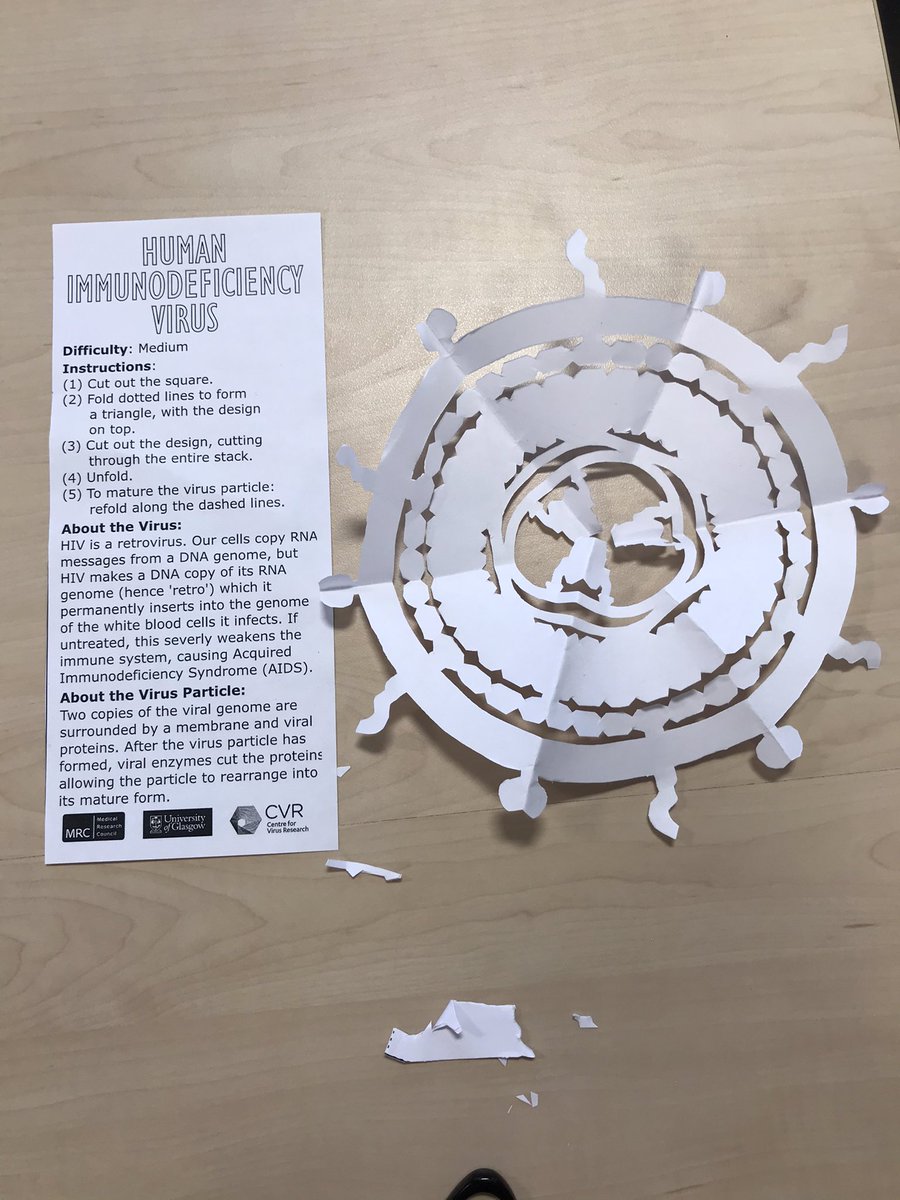 Virus snowflakes! Some fun for the last day of term ❄️ ❄️