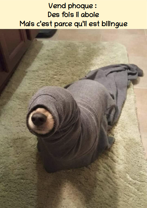 On ne vous le répètera jamais assez mais méfiez vous des annonces trop alléchantes ou douteuses sur internet...