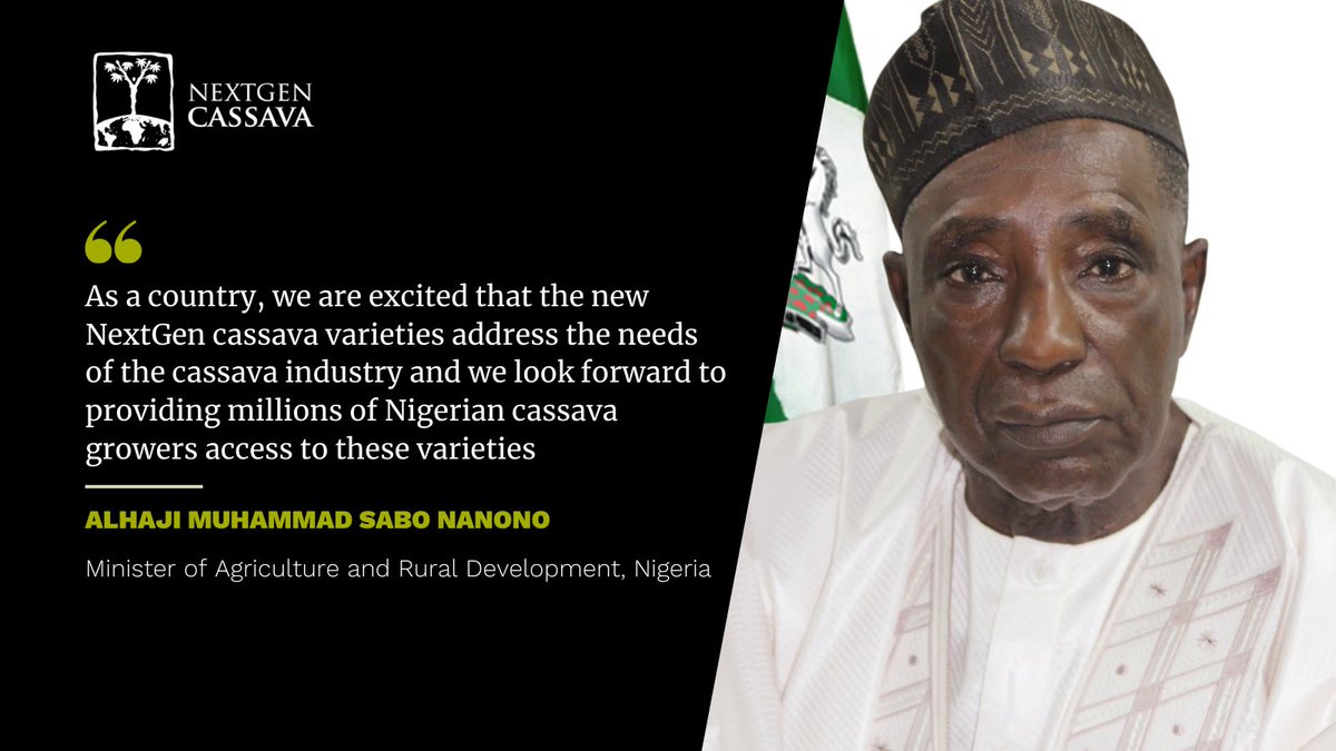“The foundation of a solid crop value chain is based on best-bet varieties,” says Nigeria’s <a href="/FmardNg/">Fed Min of Agric & Food Security</a> Minister of Agriculture &amp; Rural Development <a href="/NanonoSabo/">Moh'd Sabo Nanono</a>

Discover how NextGen Cassava varieties impact farmers in #Nigeria: bit.ly/NextGenCassava