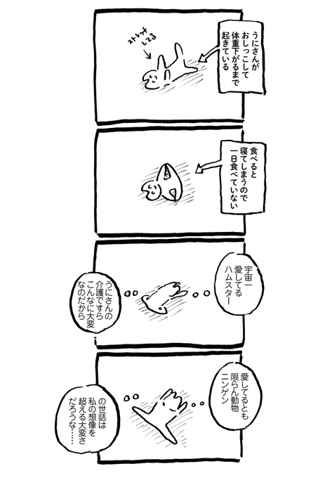うにさんと私85  #うにさんと私 #創作漫画 #エッセイ漫画  冬を度々ディスっているので冬推しの方はご注意ください 
