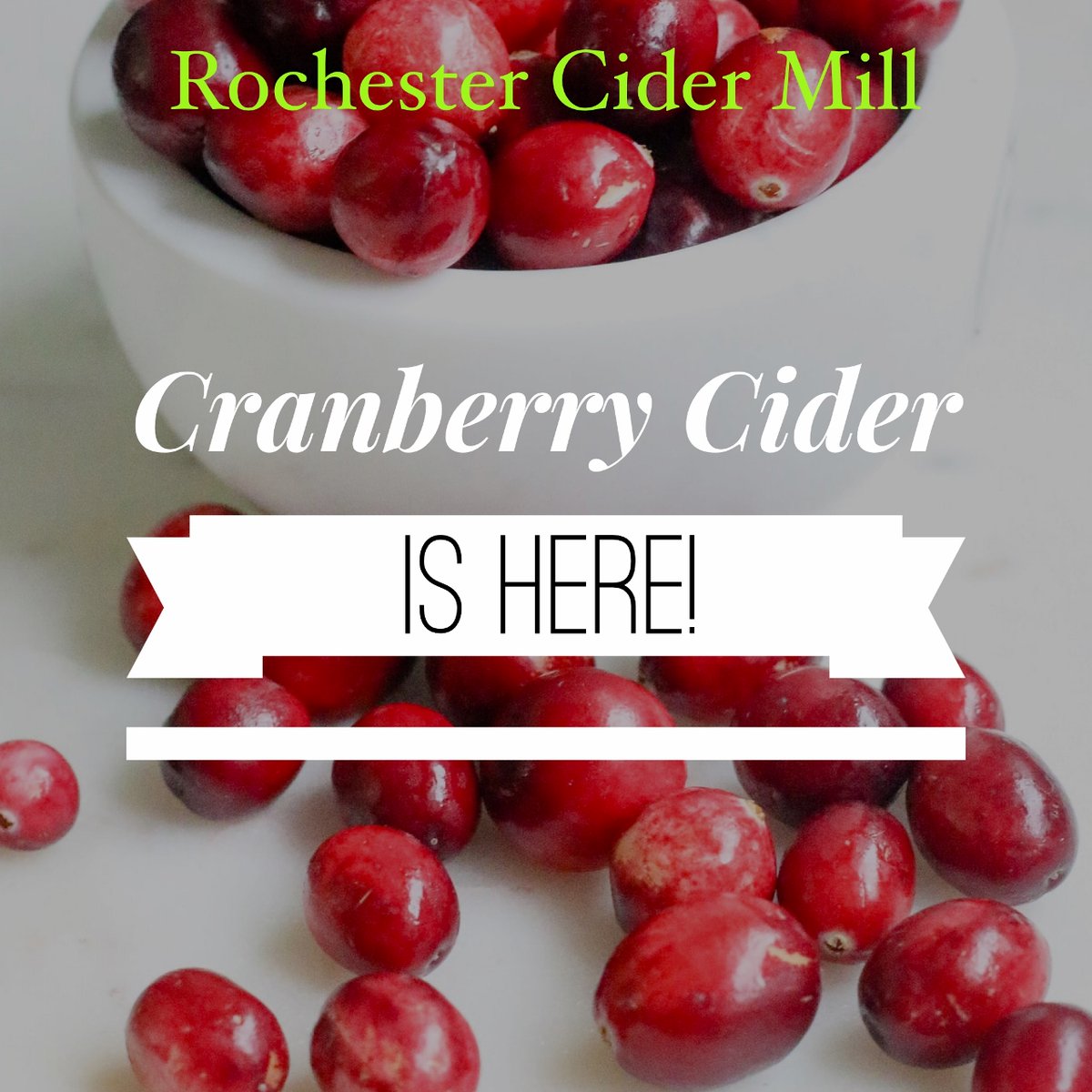 rochestercider's tweet photo. Two very special items are in stock today: Holiday Cider & Cranberry Cider. Both are exclusive custom blends that are perfect for the holidays.
#RochesterCiderMill #CranberryCider #HolidayCider #CustomCider #ExclusiveBlends #CustomBlends #Holidays #CiderMill #MichiganCiderMills https://t.co/Io1hZhTSy9