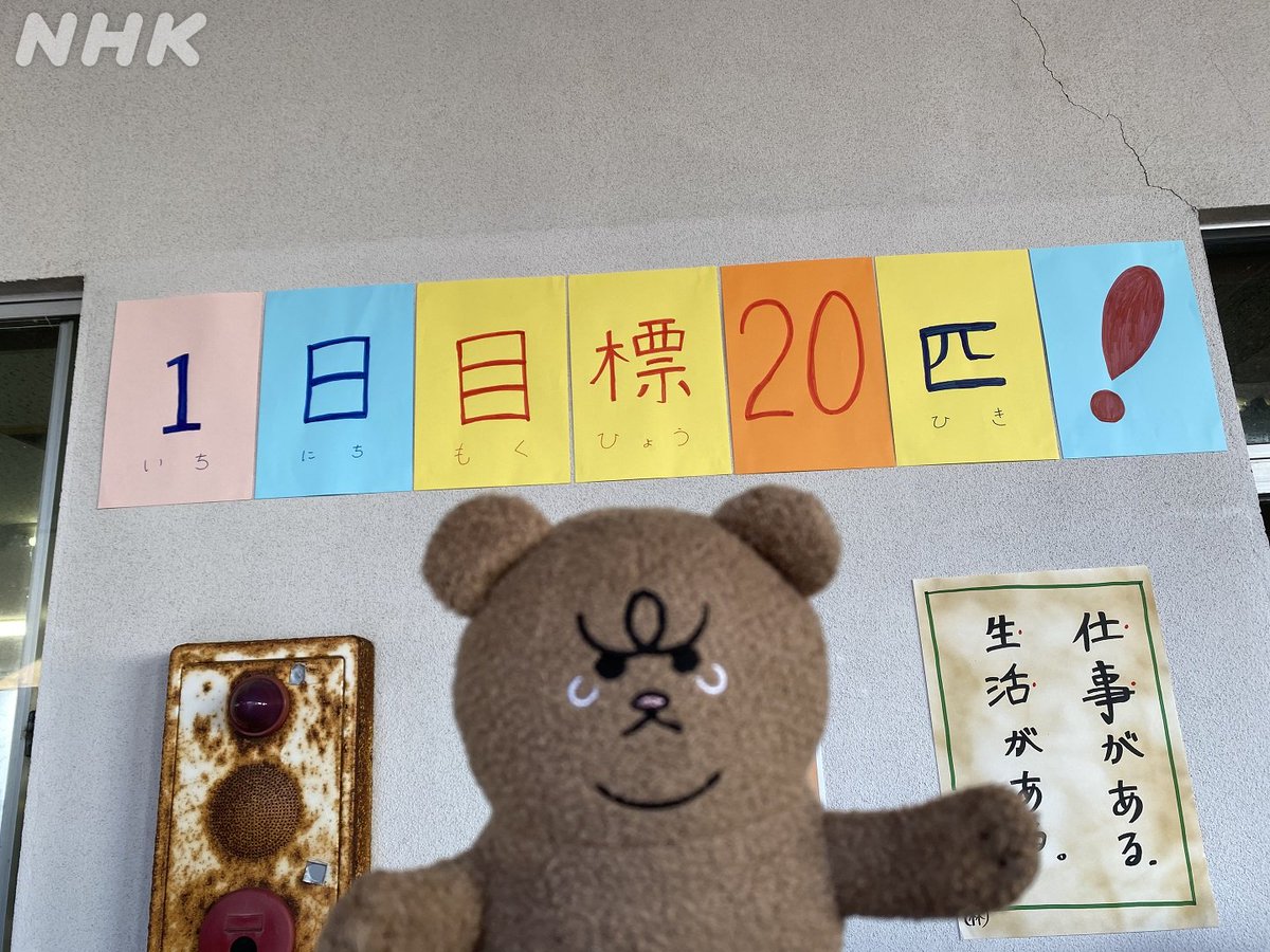 悲熊 ミニ悲熊 5ページ目 Togetter