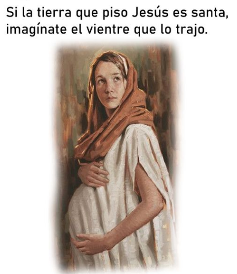 ✝️𝙎𝙖𝙣𝙩𝙤𝙧𝙖𝙡 𝘾𝙖𝙩ó𝙡𝙞𝙘𝙤 tweet media