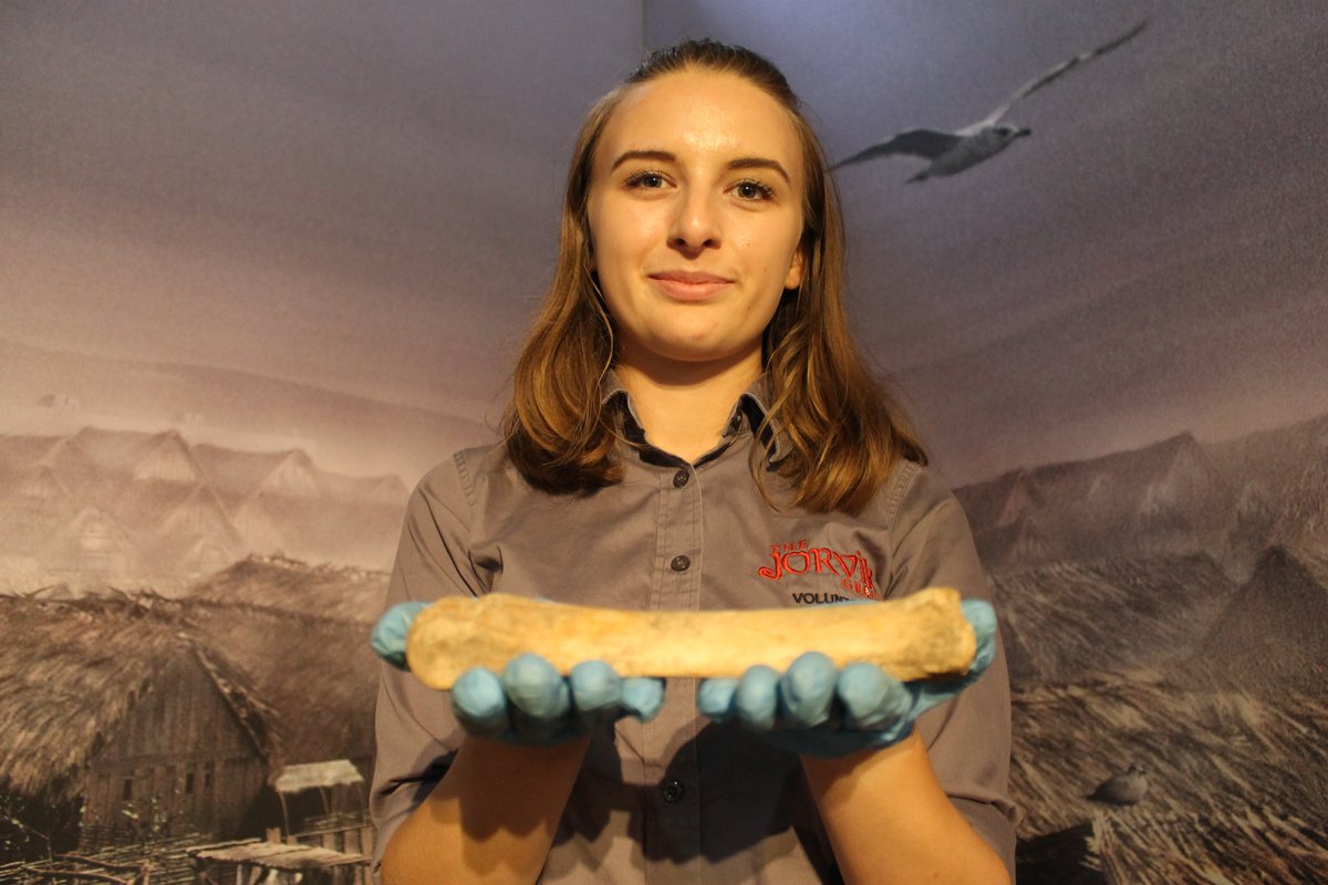 Dig for Eboracum tweet media