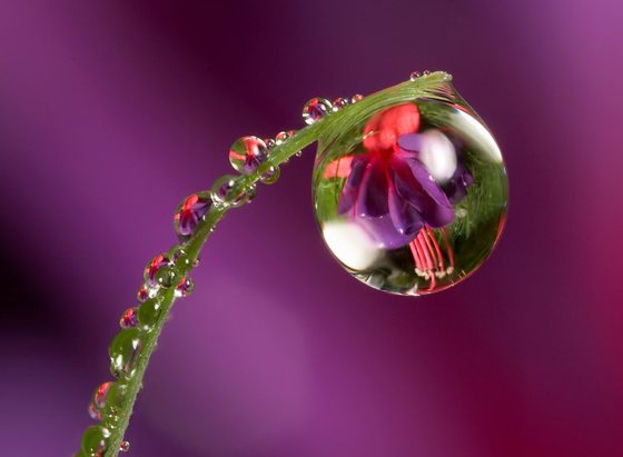 12Dlb12's tweet photo. @zazafontaine42 Translucent water captures all beauty https://t.co/16bTOX8etF