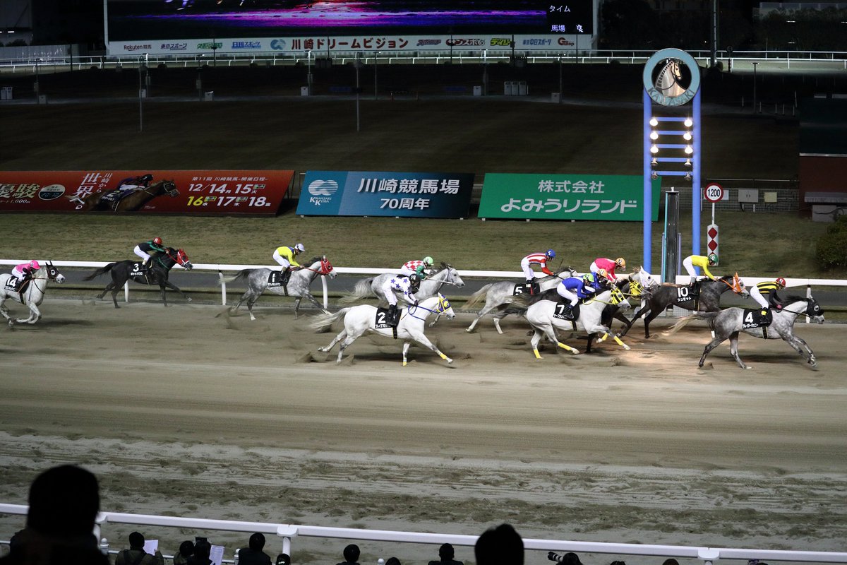 今年のホワイトクリスマス賞の様子を収めた写真が届きました。もちろん