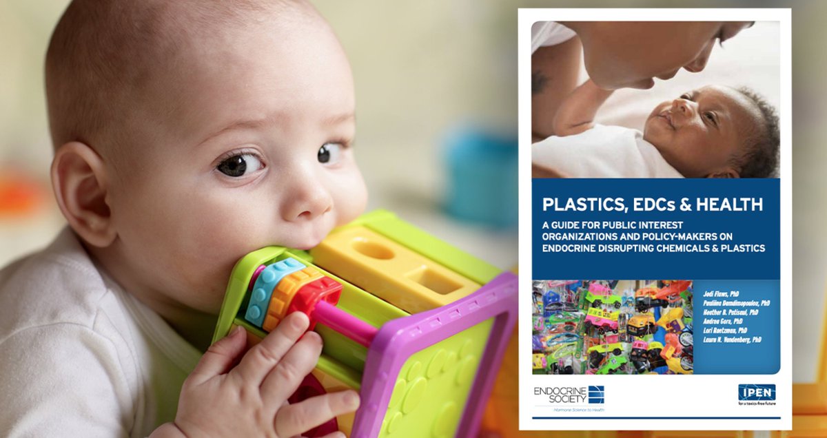 PlasticPollutes's tweet photo. 'Plastics Pose a Threat to Human Health: Authoritative Reports Shows Plastics and Microplastics are Pervasive Sources of Exposure to Dangerous Endocrine-disrupting Chemicals.' @ToxicsFree #plasticpollutes #plasticispoison
https://t.co/qJKX0aaB98 https://t.co/UoIyIxRQe7