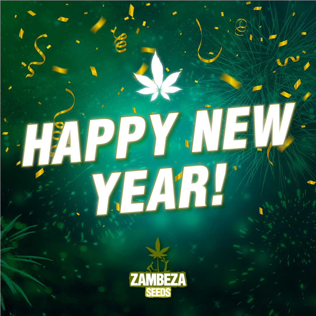 Zambeza Seeds wishes you Happy New Year!🎉

For a greener 2021🌱

 #zambeza #zambezaseeds #sativa #420life #cannabiscommunity #indica #mmjlife #highlife