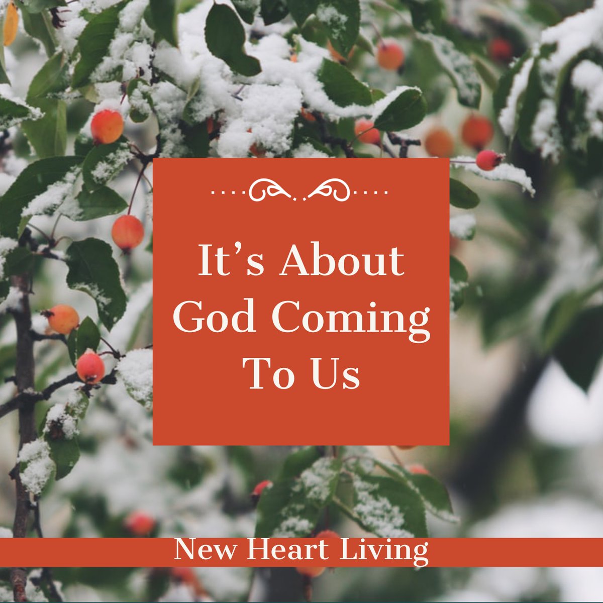 NewHeartLiving's tweet photo. Keeping Christmas about Jesus! The spirit of this day needs to be evident in our lives everyday and not just one day a year. It’s a day to remind us just how much we are loved by God. #fallonyourknees https://t.co/ON2QmPA1GY