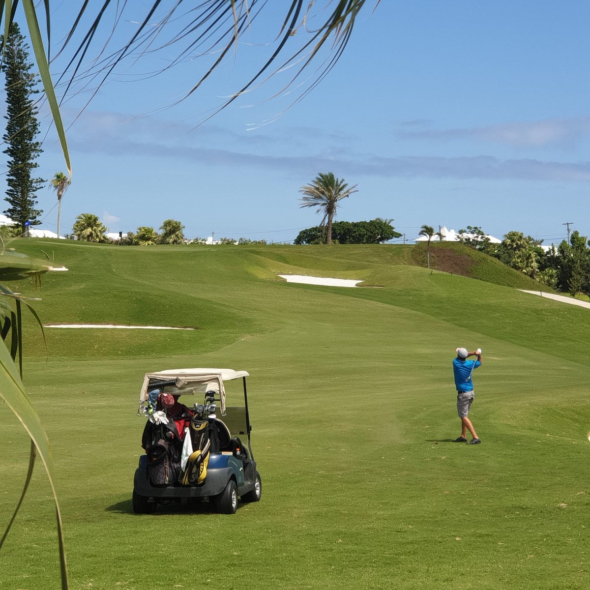 Good morning from Port Royal.  Happy Friday....let's play ⛳ 
#PortRoyalGolfCourse 
#Bermuda