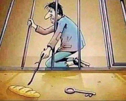 SaherShahRizvi1's tweet photo. If you keep them busy with basic needs..They will forget about the freedom they lost.

#unemployment #NoWater #nogas #nojustice #nosafety #nothing https://t.co/2ww1opw2W0