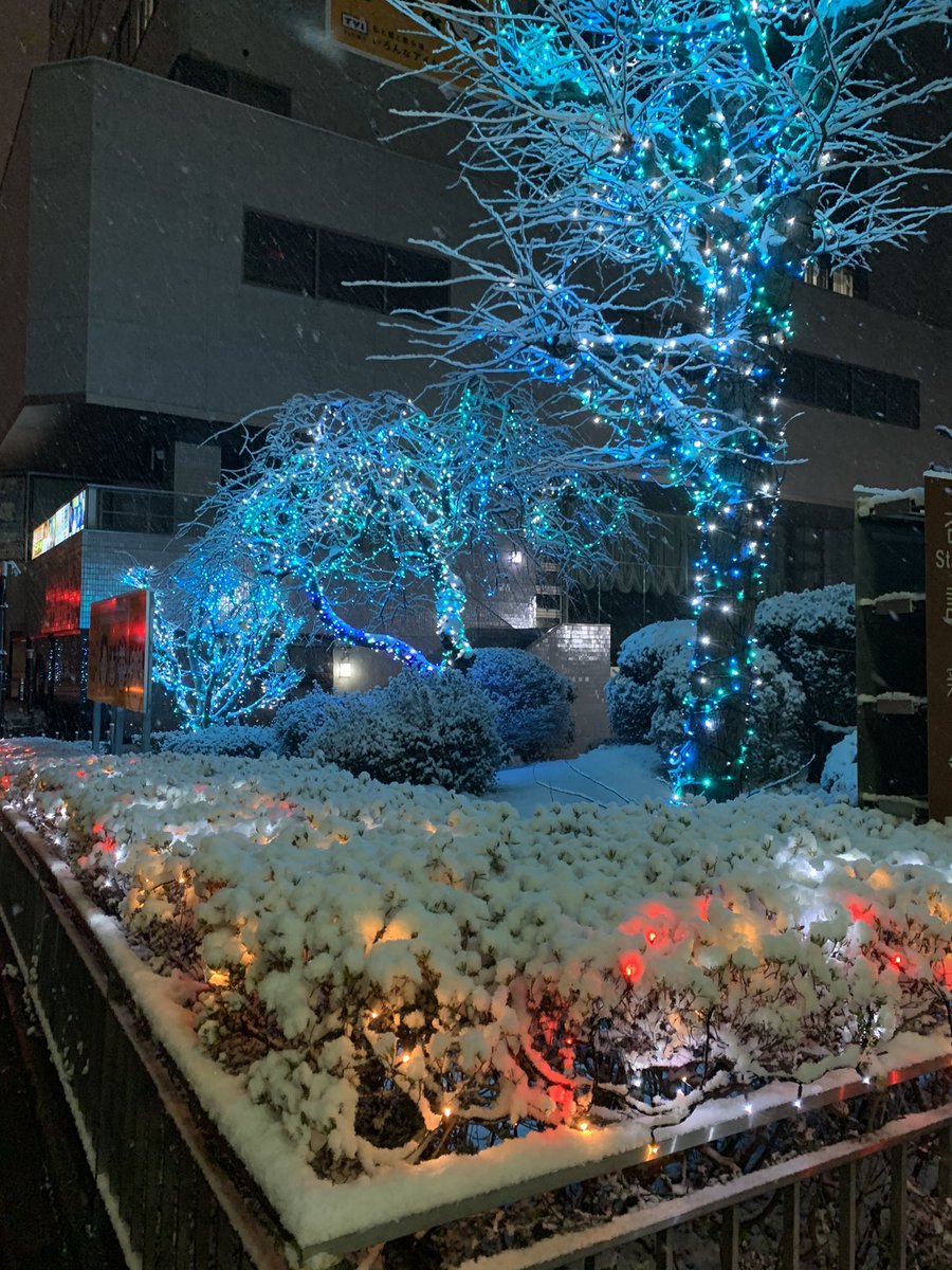 テレビ岩手 雪が降る中のイルミネーションも綺麗ですが 明日の朝は雪かき決定でしょうか 皆さま どうぞご安全に テレビ 岩手 イルミネーション 雪かきは重労働 テレビ岩手 雪が降る中のイルミネーションも綺麗ですが 明日の朝は雪かき決定でしょうか 皆さま どうぞご安全に テレビ 岩手 イルミネーション 雪かきは重労働