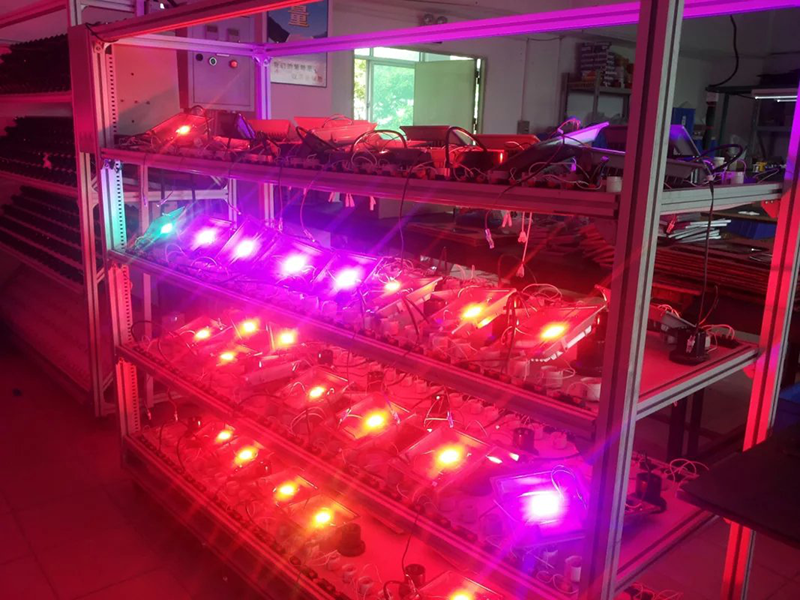 SallenCindy's tweet photo. Colorful led flood light, you could change the color freely by remote controller, the lighting effect could meet different outdoor decoration lighting requirement. Contact us for details, we could customise for you. #rgblight #rgblamp #rgbfloodlight
https://t.co/j4UY0f0KMQ https://t.co/Cf9hLuJ4VR