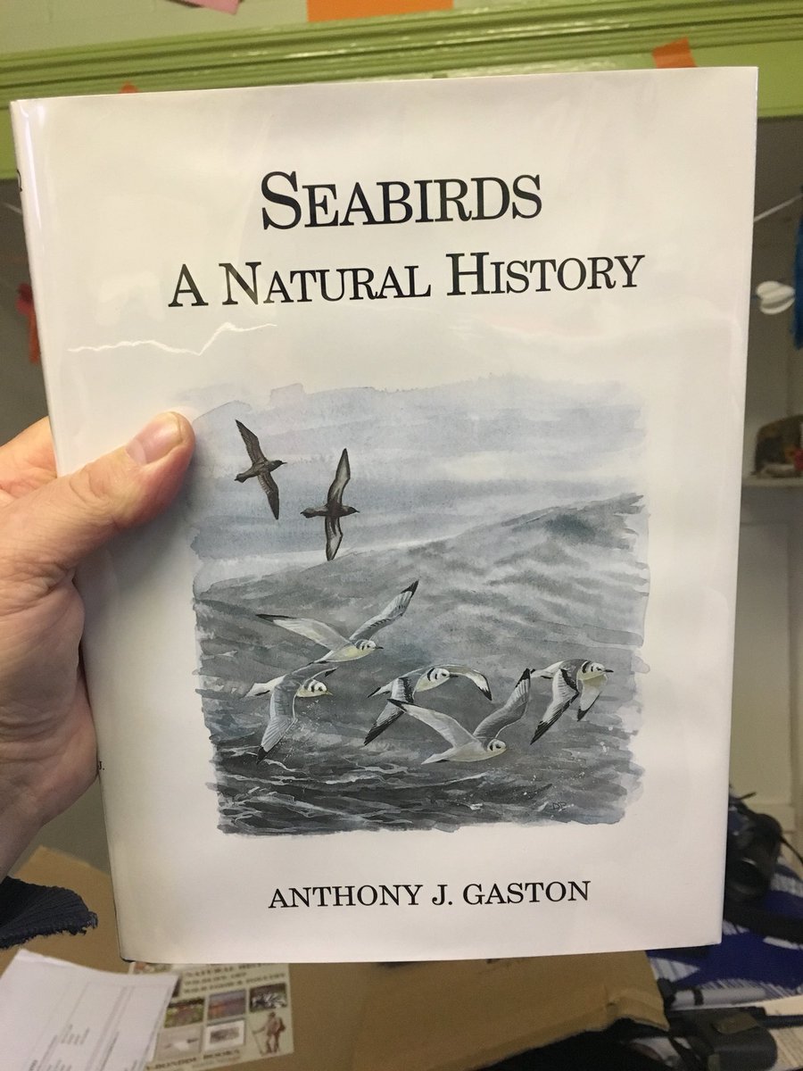 Christmas is of course a time of buying yourself presents.. naturally #seabirds site specific book choice! #papawestray #orkney #birdbooks