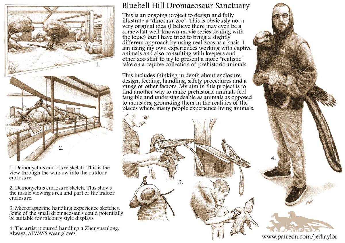 JedTaylorArtist's tweet photo. A selection of #DromaeosaurSanctuary images, and there'll be many more to come in 2021. I'd love to make some of this in a zoo building game to use as reference, I just don't have the hardware to run anything good. https://t.co/Rge6Xyf2ed