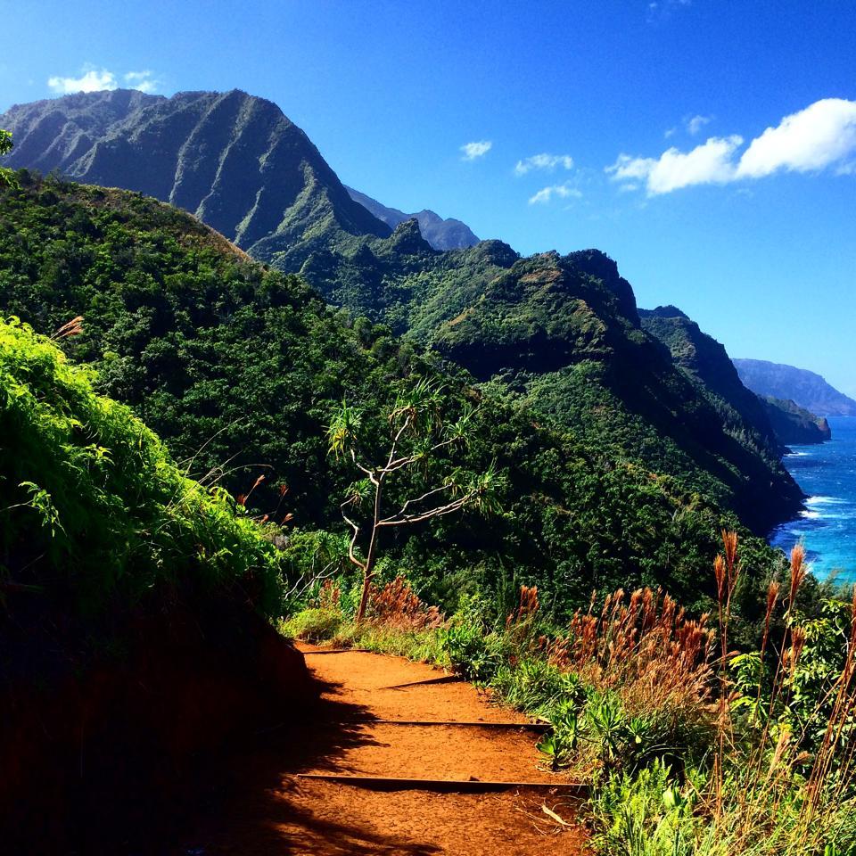 diamondheadhike's tweet photo. Kalalau Trail on Kauai is a strenuous 11-mile trail located along the Na Pali Coast, this is definitely not recommended for beginners. #kalalautrail #kauai #hike #napalicoast #alohadiamondheadhike https://t.co/BbjXR8IuSG