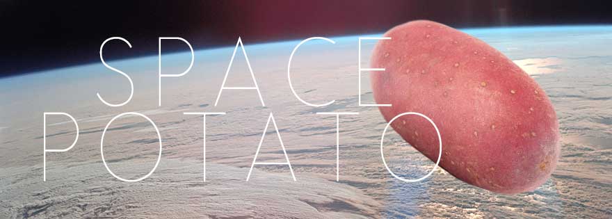 aaggrrii_masi's tweet photo. FUN FACT FRIDAY:  Did you know that the potato was the first vegetable grown in space?!  I wonder if they need a SmartSpud to reduce bruising!?? #smartspud #bruiseless #spacepotato https://t.co/tXIDgWtpJ9