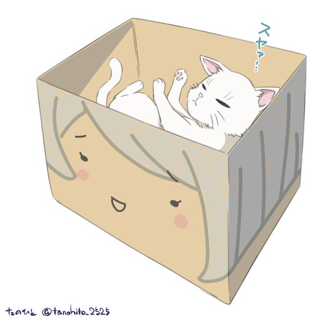 「猫 箱入り娘」のTwitter画像/イラスト(古い順)
