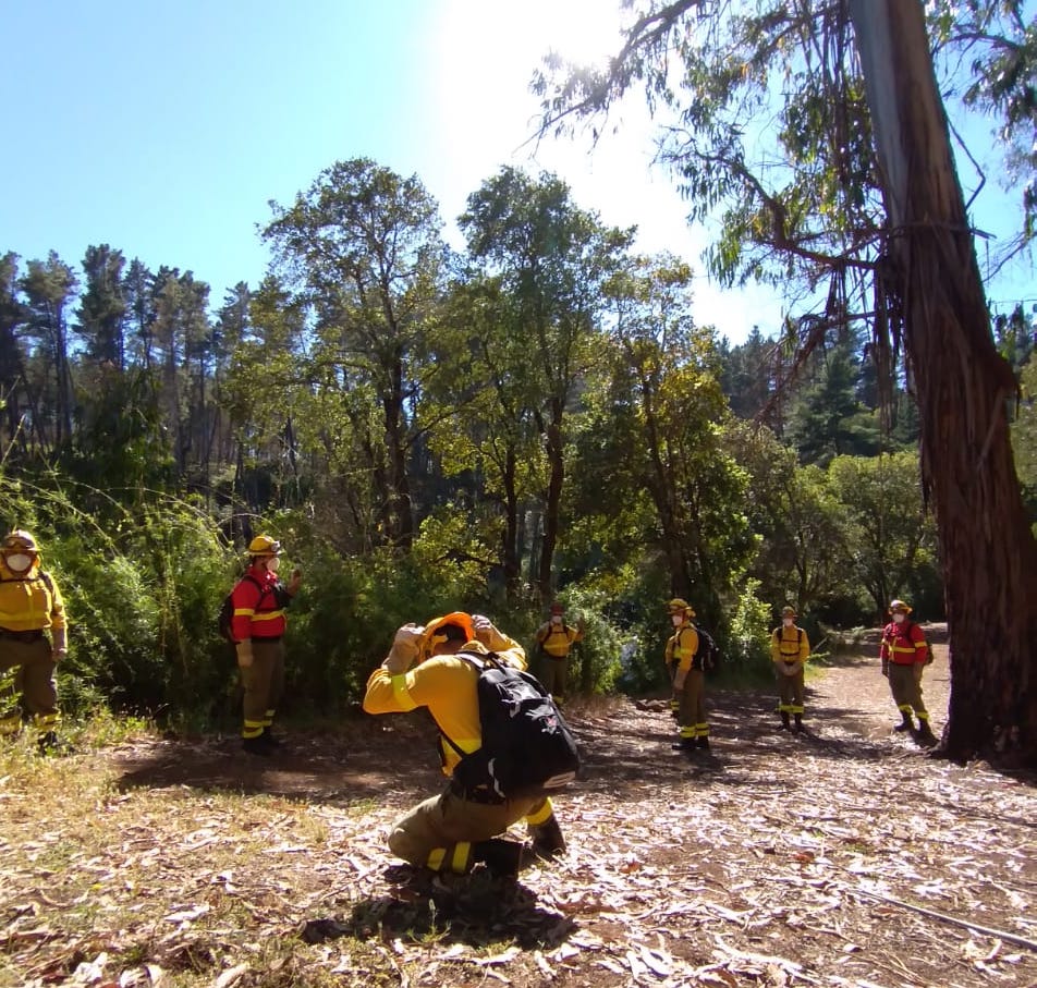 cormachile's tweet photo. Los #brigadistas forestales siguen sus capacitaciones en terreno en temas de seguridad, dando el 100% para #prevenir y combatir #incendios.
📸 #PREVENTUR capacitando brigadistas de @SomosCMPC
#AltoIncendios #cuidemoselbosque https://t.co/LTV0sbPMgP