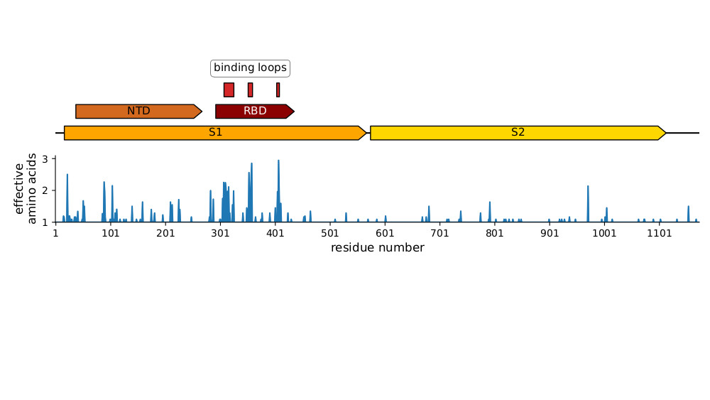 We did additional experiments suggesting much of the antigenic evolution is in the spike's RBD, which is the most evolutionarily variable part of the CoV-229E spike, especially in receptor binding loops (see below & paper for more details). (7/n)