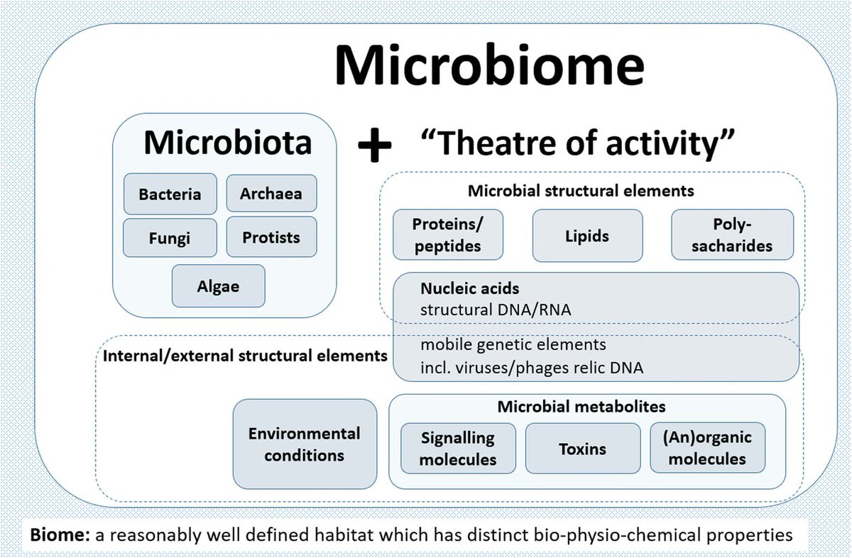 "The  #microbiota consists of the assembly of microorganisms belonging to different kingdoms /.../, while “their theatre of activity” includes microbial structures, metabolites, mobile genetic elements.."