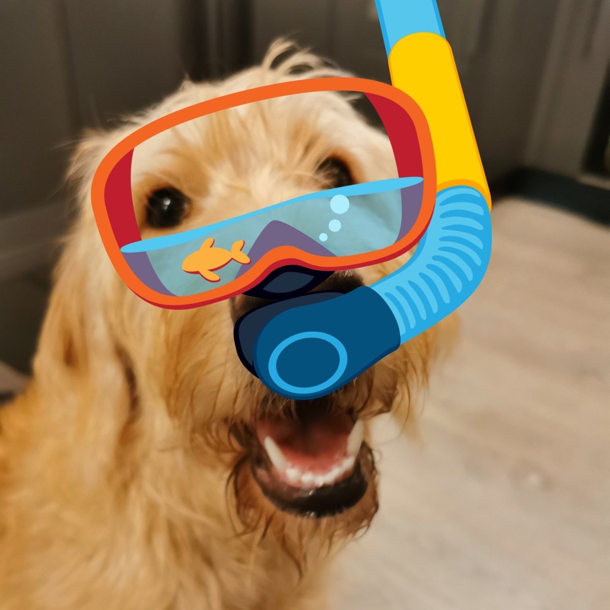 #NewProfilePic. Thanks uncle <a href="/BrianBengal/">BengalBrian #BriansForIndy🏴󠁧󠁢󠁳󠁣󠁴󠁿</a> 😂