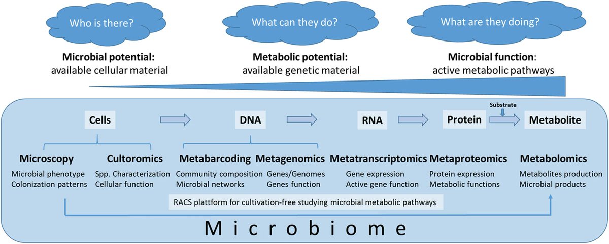 ... "The  #microbiome not only refers to the microorganisms involved but also encompass their theatre of activity, which results in the formation of specific ecological niches."