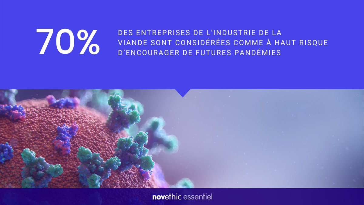 Novethic's tweet photo. #InsideESG | Les entreprises agro-alimentaire et leurs investisseurs se trouvent face à une mutation forcée de leur stratégie et systèmes opérationnels. « Viande, une filière menacée et menaçante » : découvrez la note #NovethicEssentiel
➡ https://t.co/wzLK4bjDHQ https://t.co/HQJPtHDegz