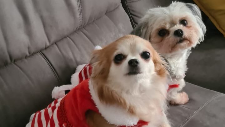 TurnerTies's tweet photo. These jumpers are warm but think we need a nice #woolscarf from William Turner to go with them what do you think? @turnerties https://t.co/mBQ5um0IKk