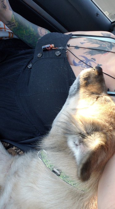 Me and my old lady are on the road again! Woods and bonfire, here we come! https://t.co/Pw6Yh7T1In