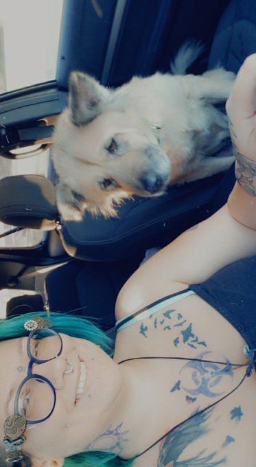 Me and my old lady are on the road again! Woods and bonfire, here we come! https://t.co/Pw6Yh7T1In