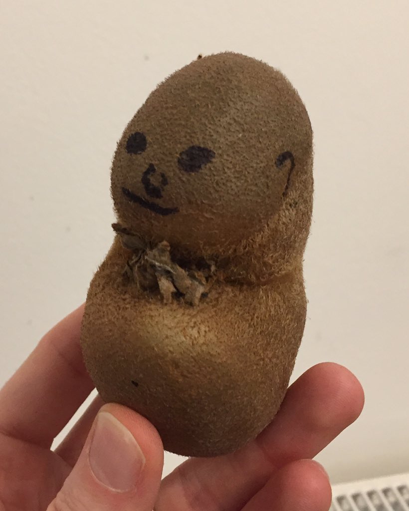 tempmeister's tweet photo. A kiwi fruit baby has joined us for Christmas 2020 #christmasfruit https://t.co/7pykjPTcQi