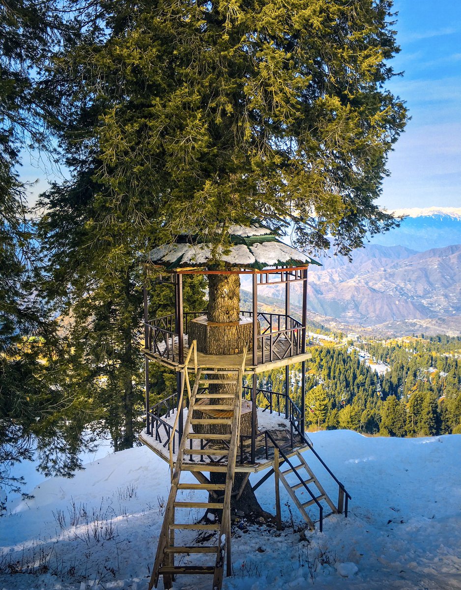 ismaailofficial's tweet photo. Beautiful tree art. 

Place: Malamjaba, KP, Pakistan 🇵🇰 

#theismaaiil #snow #snowfall #swat #tree #nature #photography #scenery #skiing #pakistan https://t.co/goh4lWIAbR