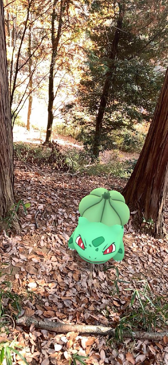 ポケモンgoar Twitter Search ポケモンgoar Twitter Search