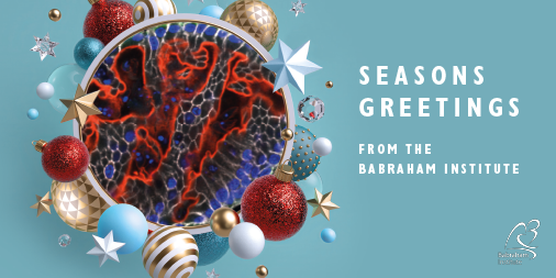 Wishing all our followers a wonderful festive time and happy holidays. Our card showcases the winning entry to our 2020 Image Prize showing Katie Young's image of mouse organoids <a href="/Sharpe_Lab/">Hayley Sharpe</a>. Browse more stunning research images here: babraham.ac.uk/about-us/impac…