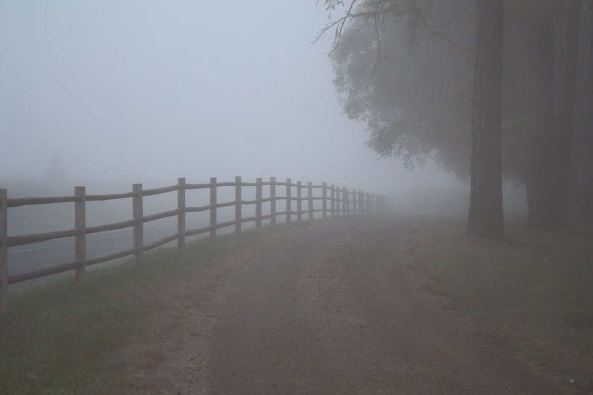 surfing93's tweet photo. Excited to share this item from my #etsy shop: Fog on the Ranch Drive Way #canvases #prints #art #photography https://t.co/iaob8a0gOl https://t.co/6hGt1x3tsm