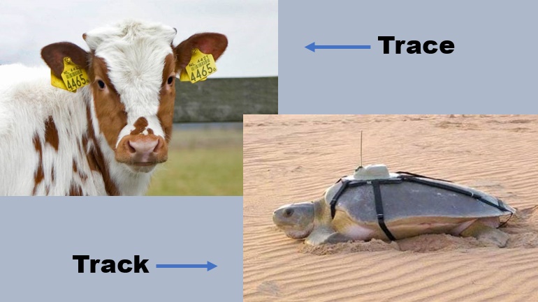Shelness's tweet image. #TracingTech and #TrackingTech are two distinct things. #MyPropertyID is a state-of-the-art #TracingTechnology for securing property prone to loss and theft. mypropertyidregistry.com/2020/06/21/tra…