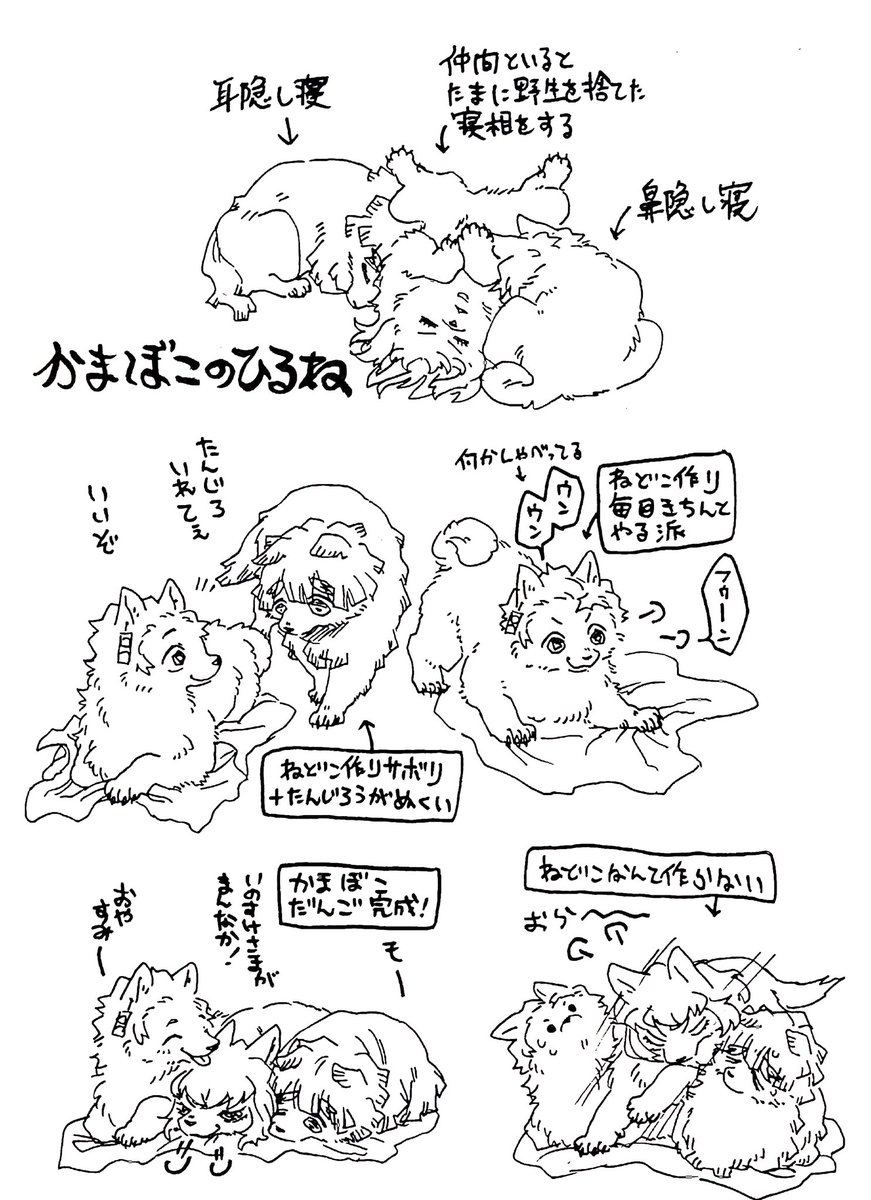 【犬の日箱】※獣化
かまぼこ犬のお昼寝 