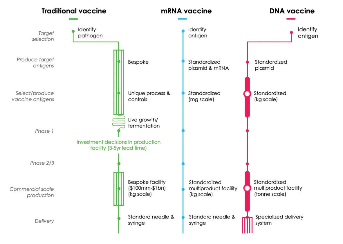 “They rushed the vaccines.”Actually no we didn’t. To explain: it’s technology and a lot of funding. Things we don’t normally have all at once.Compared to other vaccines, the production process for mRNA vaccines are advantaged with respect to modularity and standardization.