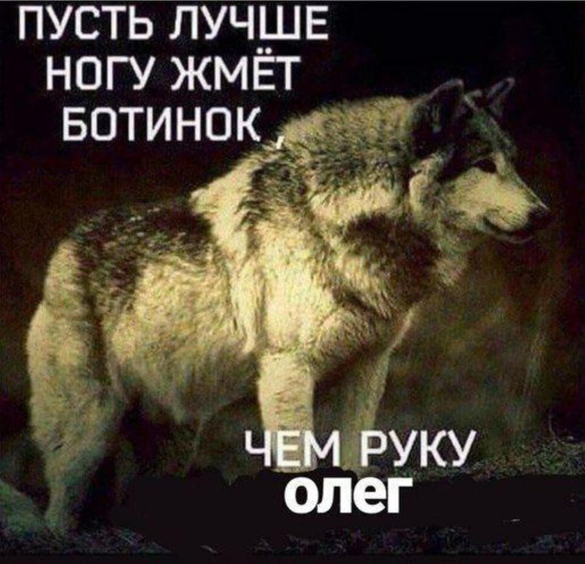 _KaBooTa_'s tweet photo. https://t.co/MBY5t6SJtS