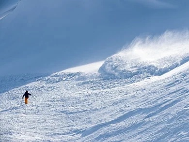 Markus Hällgren tweet media