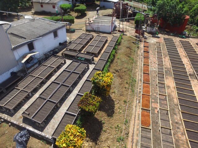 بحمد الله وصلتنا محاصيل التجارة المباشرة من دولة السلفادور وعددها ١١ محصول ذات المعالجات المجففة.