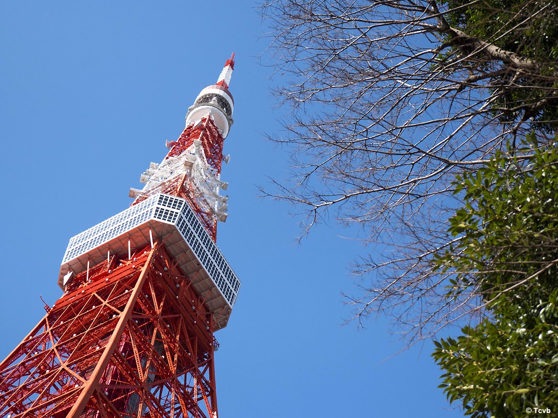 TurismoItaliaNw's tweet photo. GIAPPONE | Virtual Tokyo Tower, esperienza digitale nel futuro per vivere l'edificio più famoso della capitale del Sol Levante. Ecco come 
Leggi la notizia https://t.co/ch7omoyZPP 

#Giappone #Tokyo #VirtualTokyoTower #architettura #turismo #gotokyo #TokyoTokyo @TokyoTokyoBrand https://t.co/Zsydohj0G6