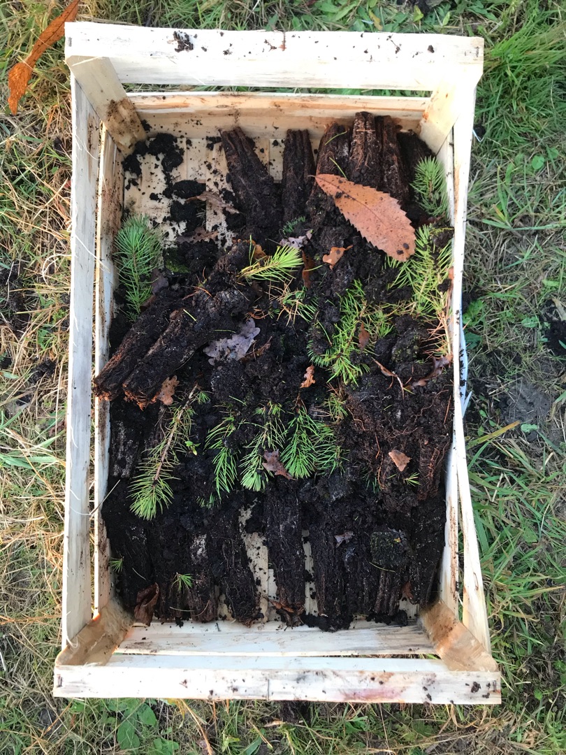 PurProjet's tweet photo. Ces derniers jours, on s'est réveillé tôt pour vous proposer un projet au plus proche de chez vous.
Mais, pour ne pas provoquer un attroupement de foule avant la fin du confinement, on vous en dit plus en janvier #PlantForGood
👇 Un indice ? 👇
@ClaireBC3 @EmilSimondon https://t.co/sLB1DTO9KM