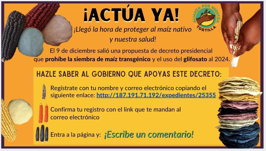 ‼️Defendamos la buena tortilla, y nuestra salud‼️
El 9 de diciembre salió una propuesta de decreto presidencial que prohibirá el maíz transgénico y el uso de glifosato. 🌽💪🏾
Regístrate y comenta para apoyar el decreto 👉🏾http://187.191.71.192/expedientes/25355
#PorNuestraTortilla