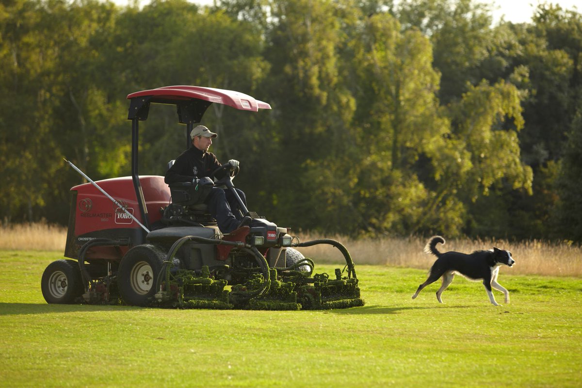 SyngentaTurfCanada tweet media