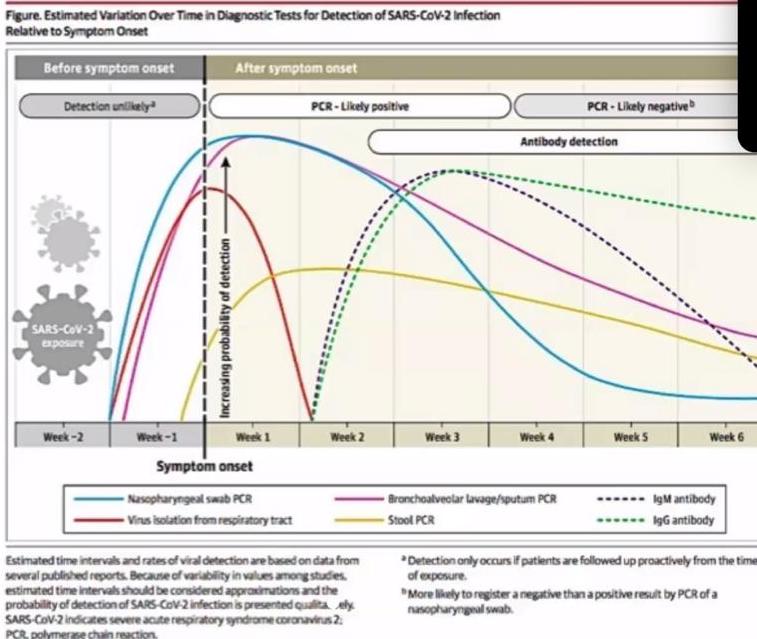 Bisa aja nih virusnya uda masuk dari sekarang, tapi reaksi imunnya masih dimasak dan belum menghasilkan antibodi untuk si COVID-19. Kalo begini ceritanya sudah barang tentu ada jeda waktu dari beneran terinfeksi dengan terdeteksi. jedanya ini bisa sampai 2 minggu sendiri lho