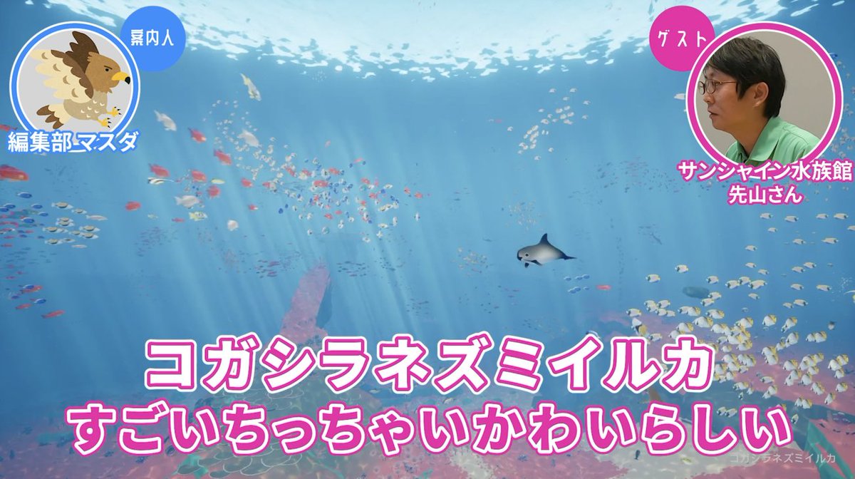 ライブドアニュース 極上の癒しゲー 専門家と Abzu で海中散歩してみた T Co 5f8sbndg0l 本作は 風ノ旅ビト のクリエイターが手掛けたダイビングアドベンチャーゲーム その美しく色鮮やかに表現された海中を散歩しながら 水族館の飼育員に ライブドアニュース 極上の癒しゲー 専門家と Abzu で海中散歩してみた T Co 5f8sbndg0l 本作は 風ノ旅ビト のクリエイターが手掛けたダイビングアドベンチャーゲーム その美しく色鮮やかに表現された海中を散歩しながら 水族館の飼育員に