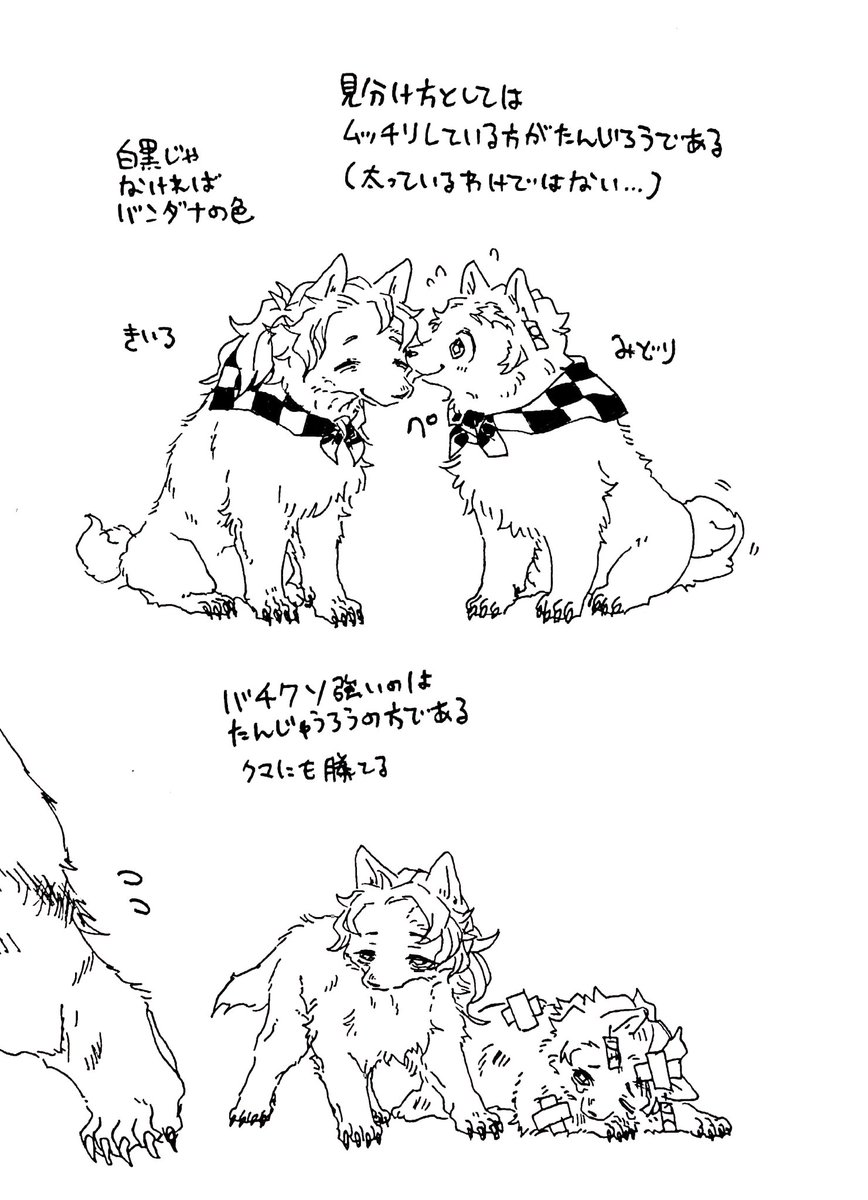 【犬の日箱】※獣化
かまど家いぬ 